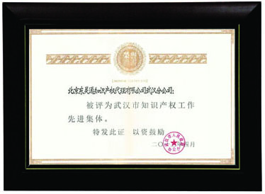 知识产权工作先进集体