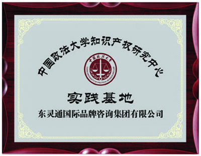 中国政法大学知识产权研究中心实践基地